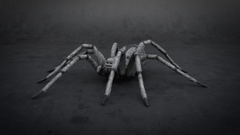 spider2