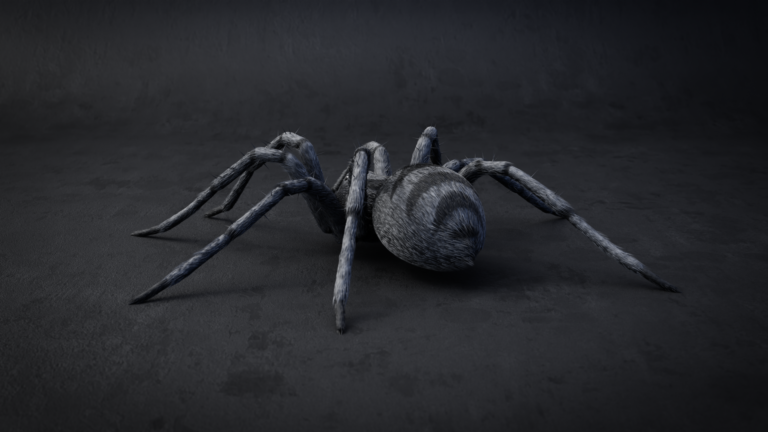 spider6