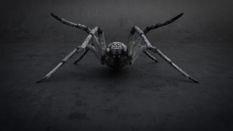 tarantula_attack